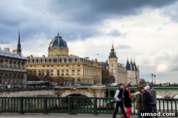 Scenic Walk in Paris: Pont des Arts and the Seine