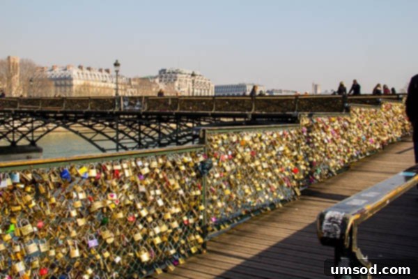 Pont des Arts: Countless Love Locks in Paris