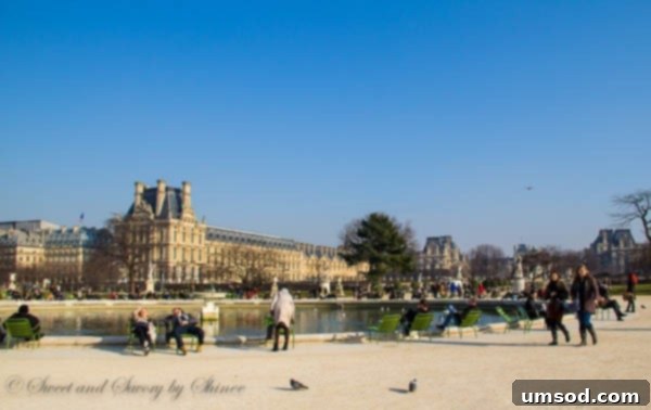 Relaxing in Tuileries Garden, Paris