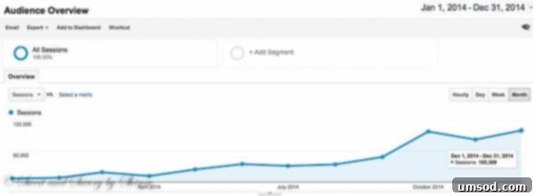 How I Supercharged My Food Blog: 10x Growth in 12 Months 3 Screenshot showing significant pageview growth from 10K to 100K+ over a year.