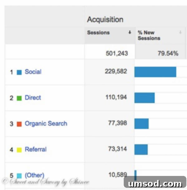 How I Supercharged My Food Blog: 10x Growth in 12 Months 4 Pie chart showing traffic sources, with search engine and Pinterest as major contributors.