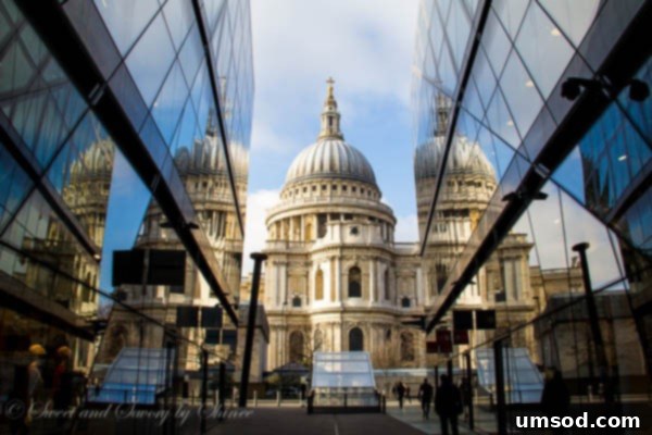 St. Paul's Cathedral View from One New Change Rooftop
