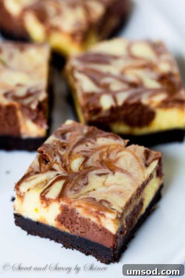 Decadent Triple Chocolate Cheesecake Bars 3 Close-up of freshly baked Triple Chocolate Cheesecake Bars showing the rich texture