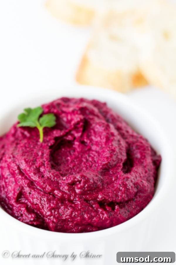 Close-up of a smooth, creamy roasted beet dip in a white bowl, showcasing its rich texture and deep fuchsia color.