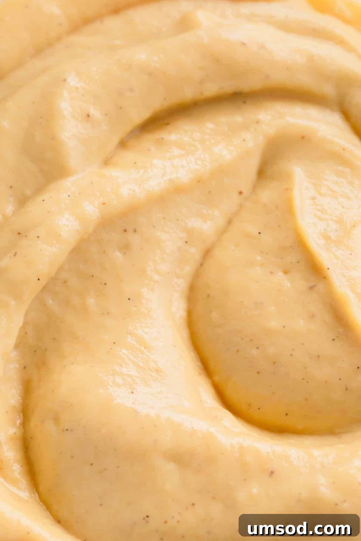 Close up view of homemade vanilla pudding.