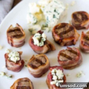 Elegant Filet Mignon Medallions 6 Mini Filet Mignons with Blue Cheese Appetizer