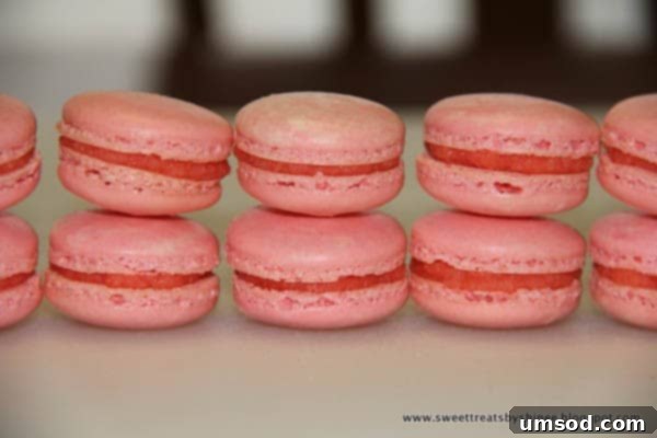 Foolproof Macarons for First-Timers 24 Basic French Macarons -perfect for beginners.