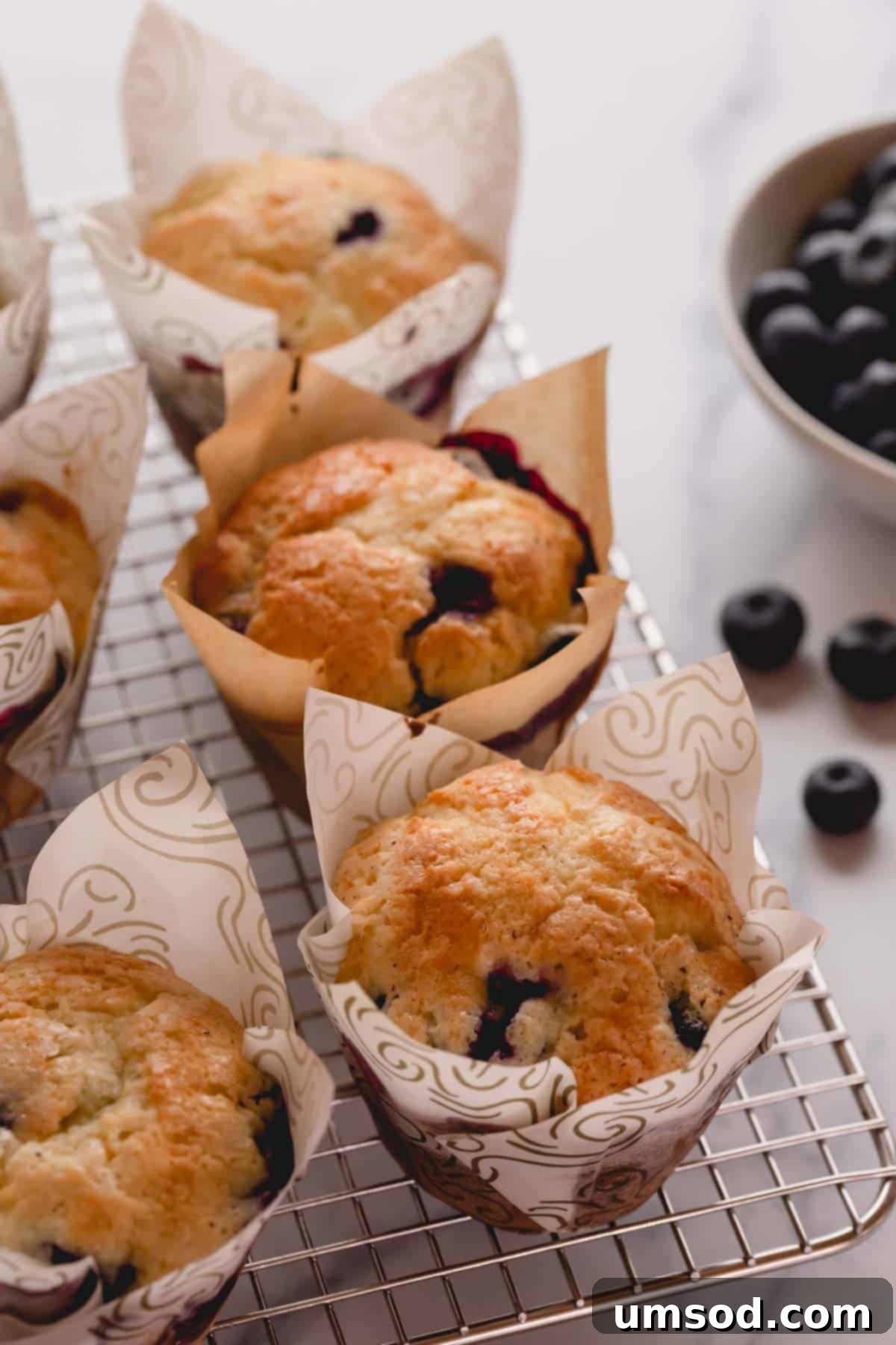 Blueberry Cheesecake Swirl Muffins 2 Blueberry muffins on a wire rack cooling after baking.