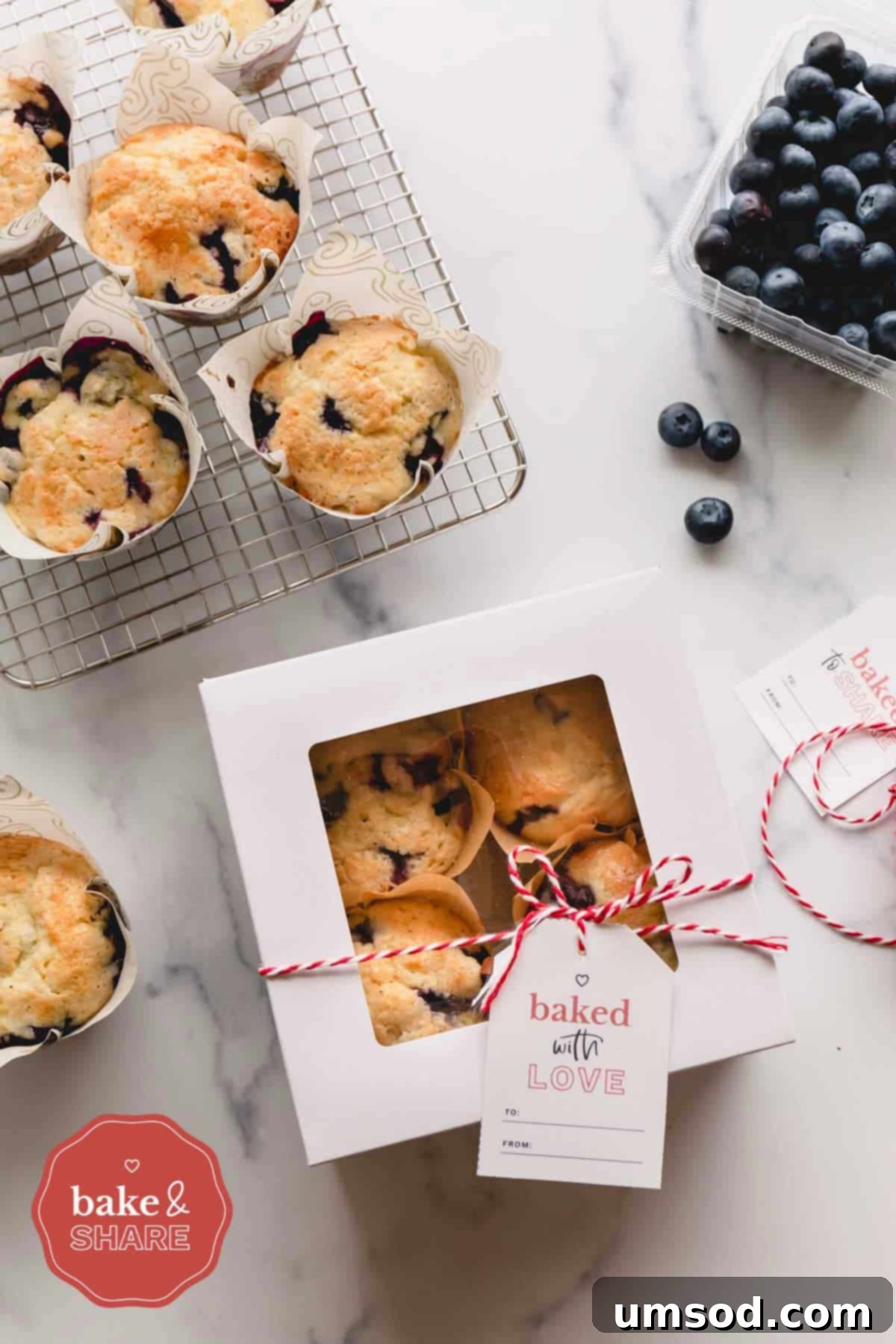 Blueberry Cheesecake Swirl Muffins 10 4 blueberry cheesecake muffins in a white gift box with a window, tied with a label.