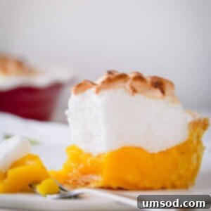 Zesty Lemon Cloud Pie 12 A slice of classic lemon meringue pie on a plate with a fork holding a bite.