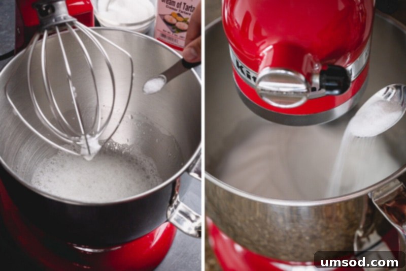 Zesty Lemon Cloud Pie 6 A visual guide showing the stages of meringue, from foamy to stiff peaks, with tips for stable French meringue.