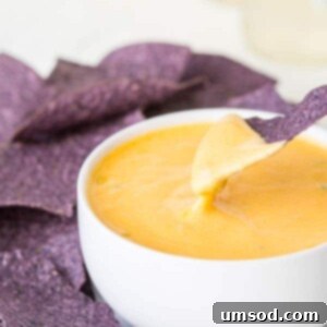 A chip being dipped into a bowl of spicy cheddar cheese dip.