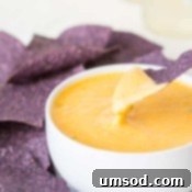 A chip being dipped into a bowl of spicy cheddar cheese dip.