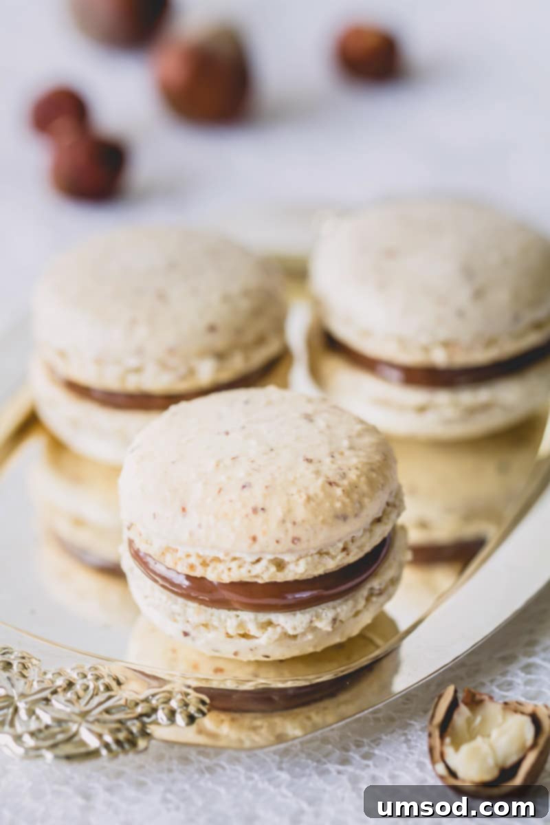 Decadent Chocolate Hazelnut Macarons 2 Beautifully crafted chocolate hazelnut macarons, showcasing their delicate shells and inviting specks of hazelnut.