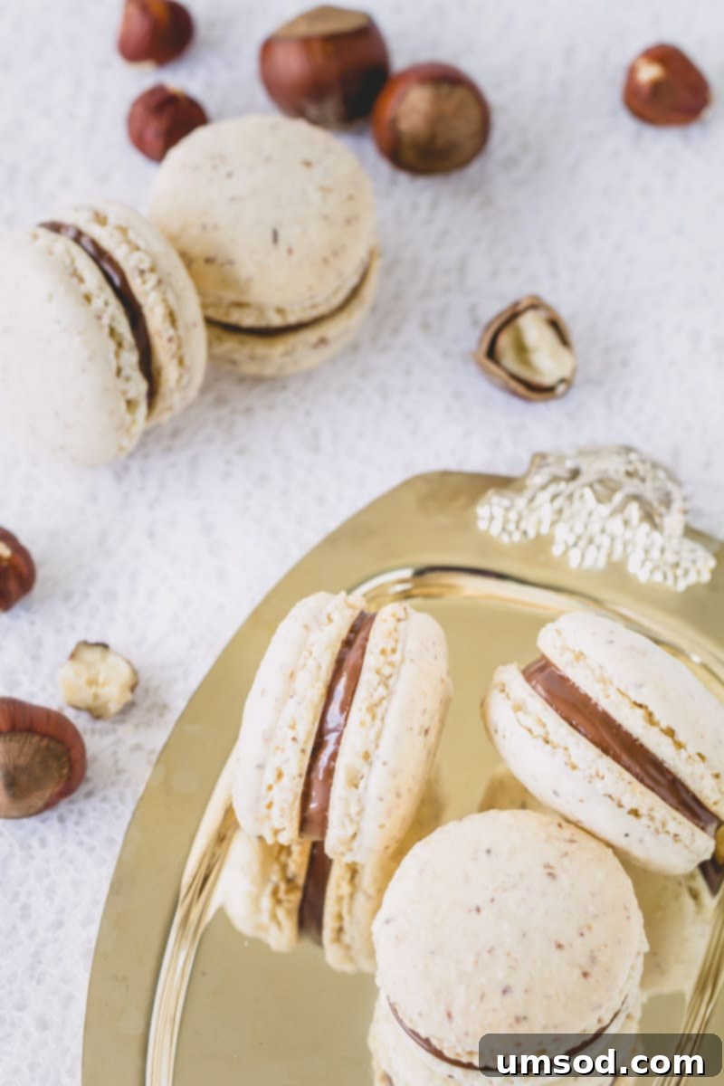 Decadent Chocolate Hazelnut Macarons 3 Close-up of baked macaron shells, showing the delicate 'feet' and smooth tops achieved with hazelnut and almond flour.