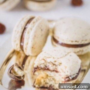 Decadent Chocolate Hazelnut Macarons 7 A plate of freshly baked chocolate hazelnut macarons.