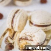 Decadent Chocolate Hazelnut Macarons 8 Delicious chocolate hazelnut macarons.