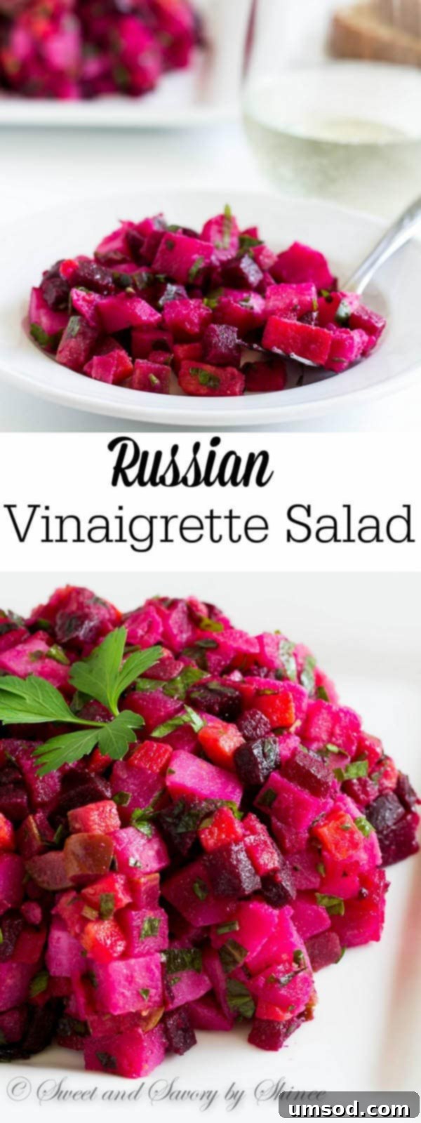Vibrant Russian Vinaigrette 2 Classic Russian Vinaigrette Salad (Винегрет) with roasted beets, dressed in simple extra virgin olive oil. This vibrant root-vegetable salad is a healthy comfort food, perfect all year round!