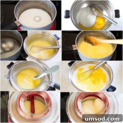 Sunshine Lemon Bliss 6 A step-by-step photo tutorial for making lemon ice cream, showing the custard base before churning, emphasizing the importance of quality ingredients.