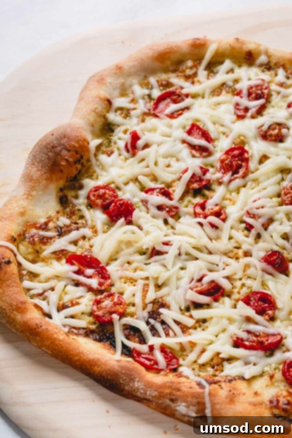 Slow-Roasted Tomato and Melted Cheese Pizza 5 A whole, golden-brown cheesy pesto pizza resting on a pizza peel, ready to be sliced and served.