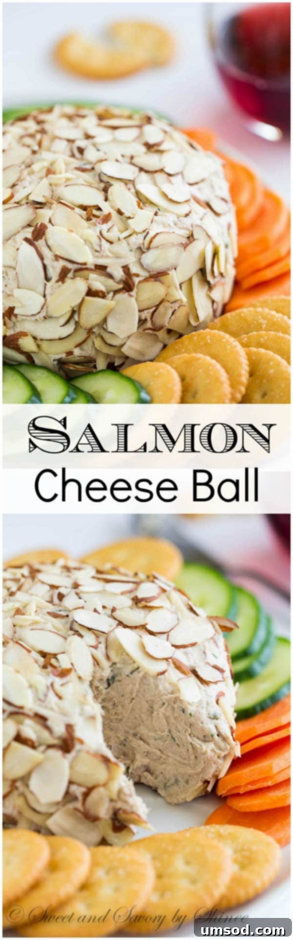 Creamy Salmon Cheese Balls 2 A delicious salmon cheese ball showing a beautiful texture and rich flavors, garnished with fresh dill and surrounded by crackers. Learn how to easily shape this impressive appetizer.