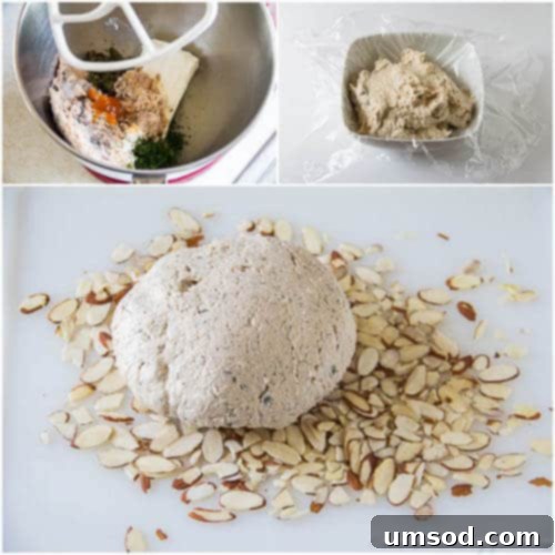 Creamy Salmon Cheese Balls 3 Step-by-step tutorial images demonstrating the process of making a salmon cheese ball, from mixing ingredients to shaping.