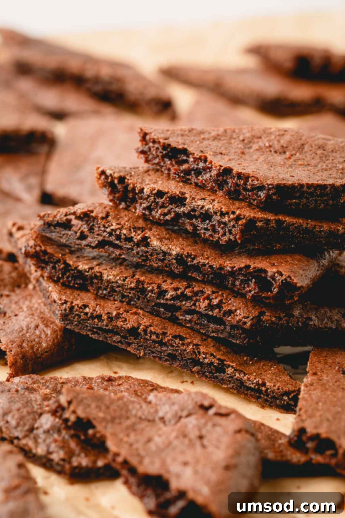 A stack of beautifully thin and crispy homemade brownie crisps, showcasing their rich chocolate color.
