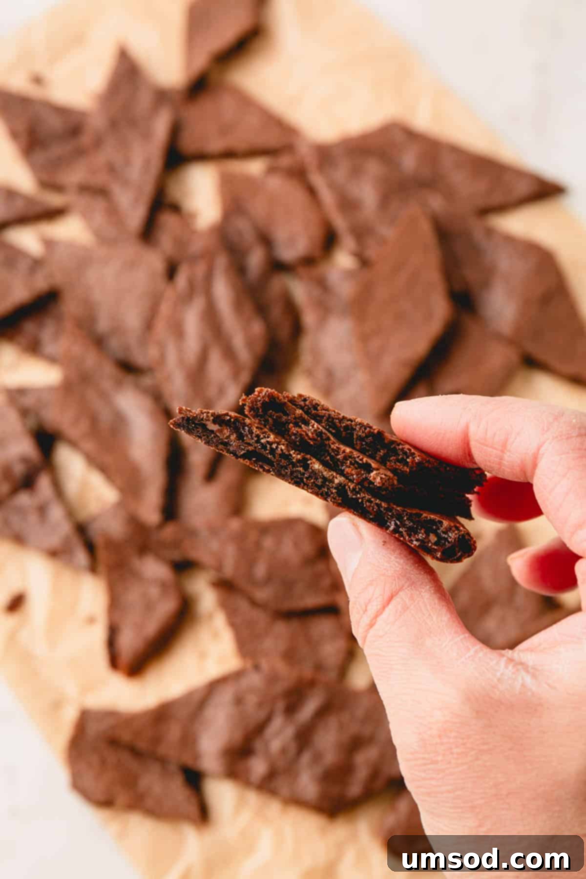 A hand gracefully holding several pieces of thin, dark brownie crisp, highlighting their delicate texture.