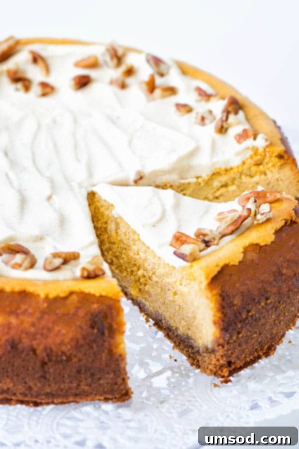 Autumn Maple Pumpkin Cheesecake 2 A whole creamy maple pumpkin cheesecake with one slice elegantly cut, revealing its rich, smooth texture and the thick, fluffy maple pumpkin whipped cream topping.