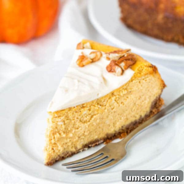 Autumn Maple Pumpkin Cheesecake 3 A close-up of a single slice of pumpkin cheesecake, artfully plated and topped with a generous swirl of maple pumpkin whipped cream frosting, garnished with a sprinkle of cinnamon.