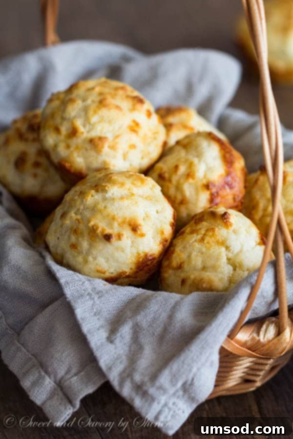 A perfectly golden brown cheesy garlic biscuit showcasing its fluffy interior and melted cheese pockets, ready to be enjoyed.