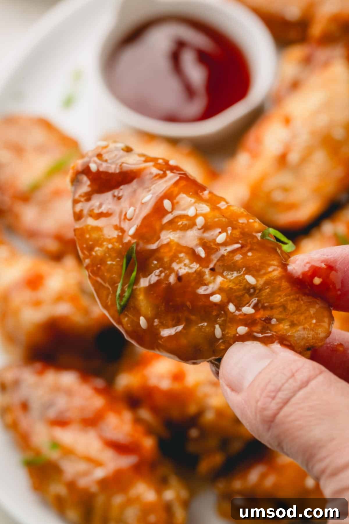 Sticky Teriyaki Chicken Wings 4 A hand holding a perfectly cooked honey teriyaki chicken wing, glistening with sauce and topped with white sesame seeds and green scallions, ready to be eaten.