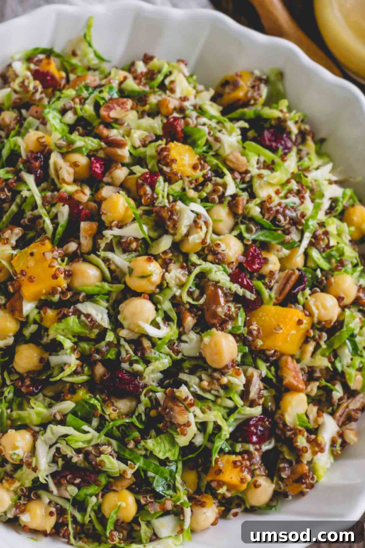 Roasted Brussels Sprout and Warm Quinoa Power Bowl 8 A close-up view of the warm quinoa Brussels sprouts salad, highlighting the textures of squash, quinoa, chickpeas, and cranberries.