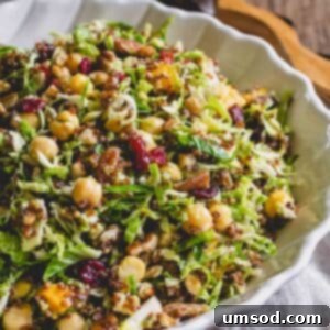 Roasted Brussels Sprout and Warm Quinoa Power Bowl 10 A beautifully presented bowl of Warm Quinoa Brussels Sprouts Salad with chickpeas.