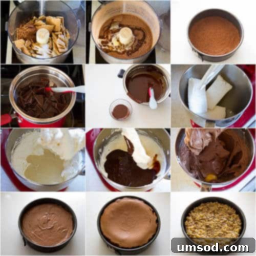Step-by-step photo tutorial for German chocolate cheesecake showing preparation of crust, filling, and frosting.