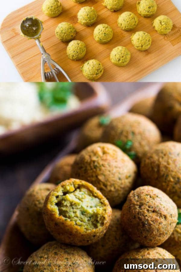 Medium cookie scoop forming uniform falafel balls