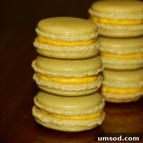 Decoding Macaron Dilemmas 13 Macaron shells exhibiting bulging or excessively wide feet.