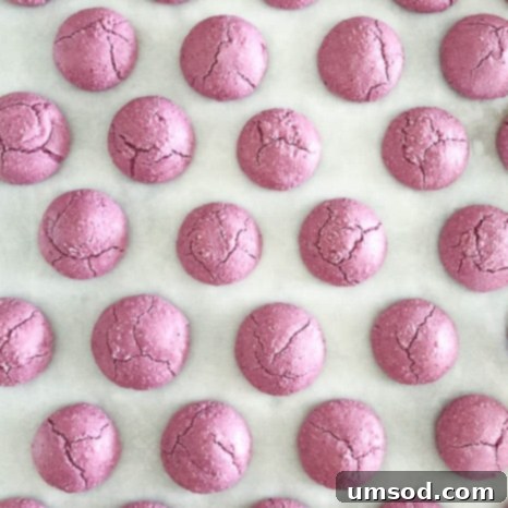 Decoding Macaron Dilemmas 14 Macaron shells with a soft, wrinkly, and deflated appearance.