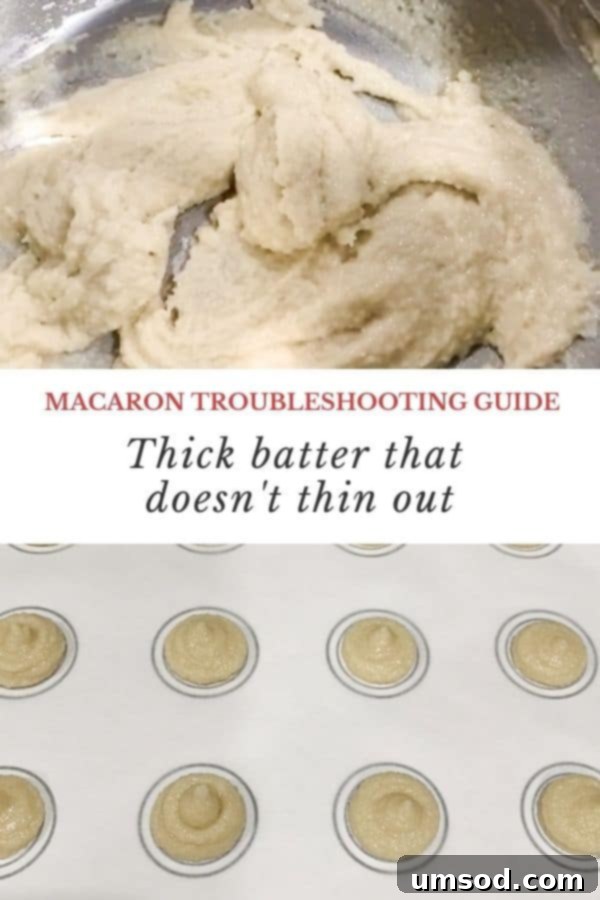 Decoding Macaron Dilemmas 15 An example of macaron batter that is too thick, holding its shape rigidly.