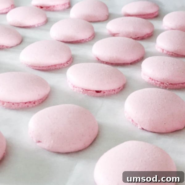 Decoding Macaron Dilemmas 16 Macaron shells with a visibly uneven or lopsided shape.