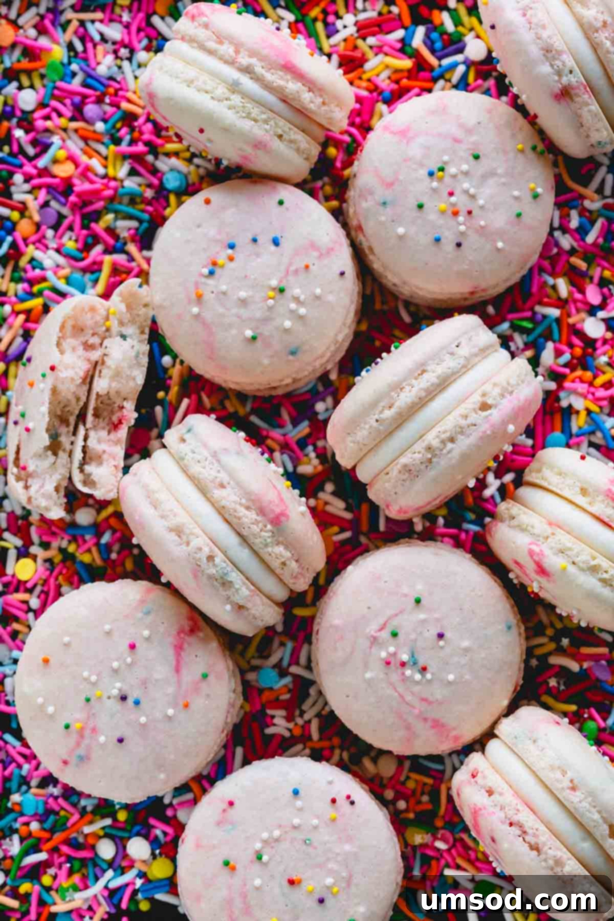 Funfetti macarons over a bed of sprinkles, showcasing their vibrant colors.