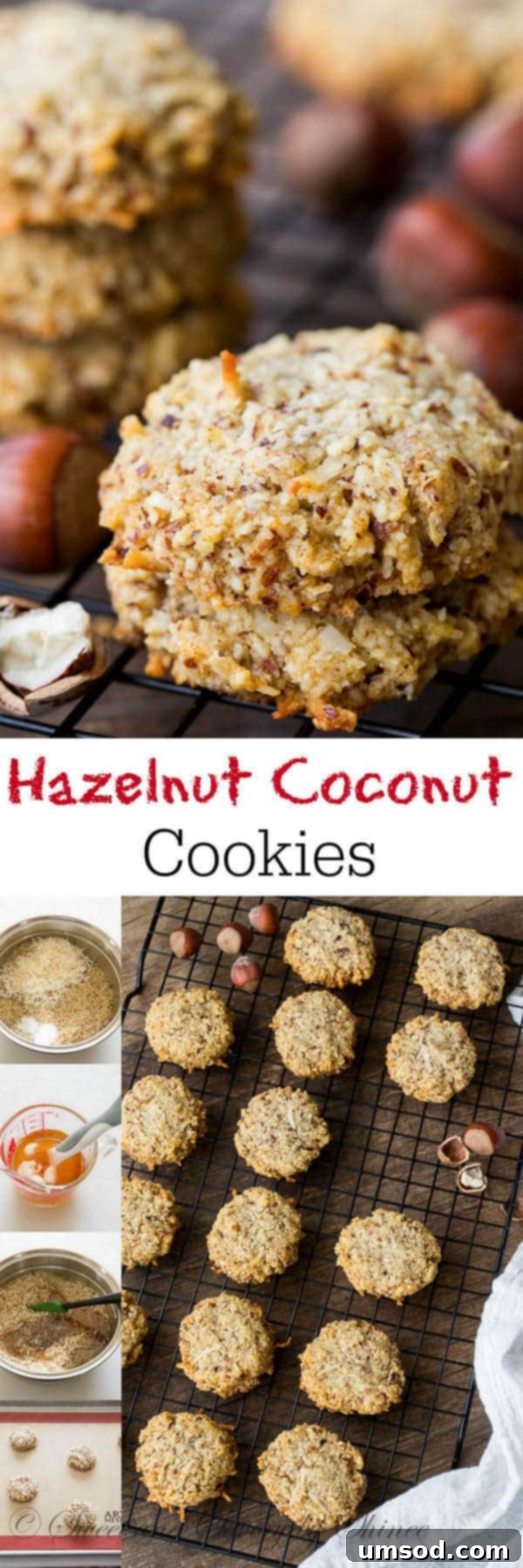 Tropical Hazelnut Treats 2 Delicious chewy hazelnut coconut cookies stacked on a cooling rack, highlighting their wholesome goodness.
