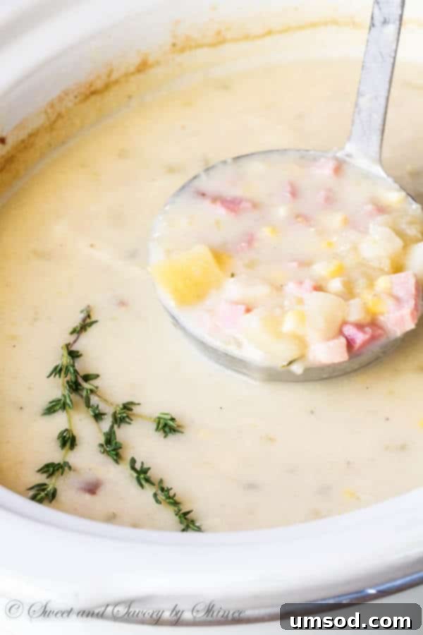 A ladle lifting a generous scoop of creamy ham and potato soup from a slow cooker, showcasing its rich texture.