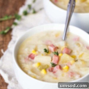 A bowl of slow cooker ham and potato soup with a spoon sticking out, garnished beautifully.