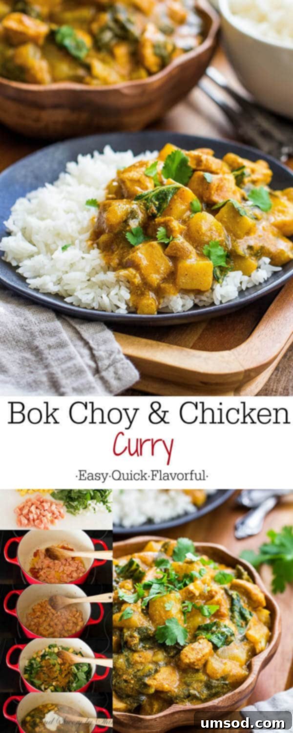 Infused with aromatic warm spices, this easy bok choy and chicken curry is my favorite winter comfort food. And it'll soon be yours too!