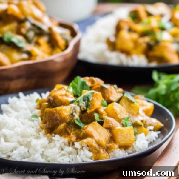 A perfectly portioned bowl of Easy Bok Choy and Chicken Curry served alongside fluffy white rice.