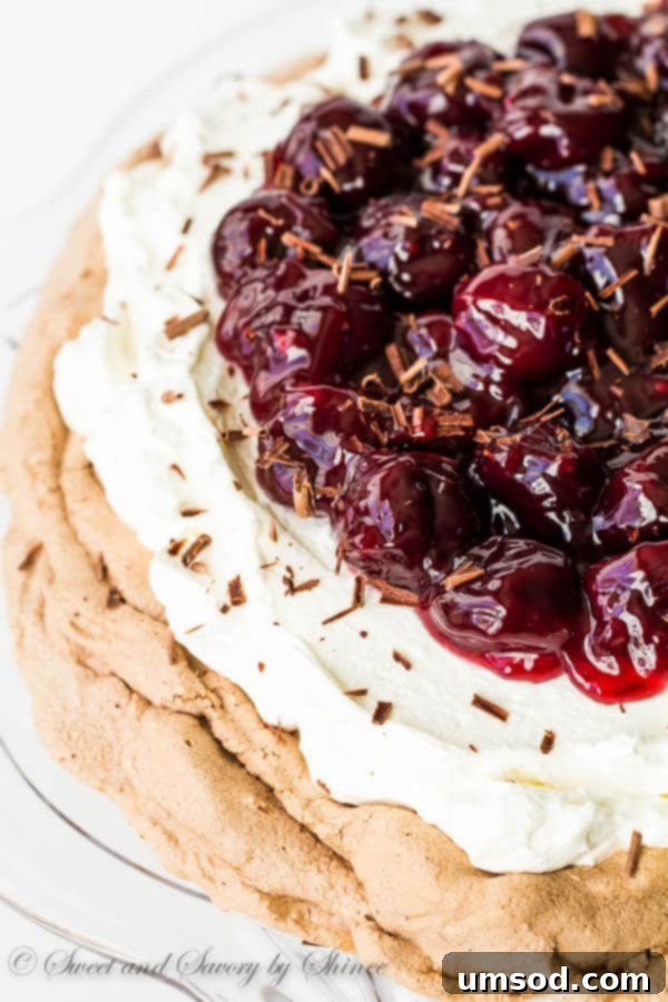 Close-up of Cherry Chocolate Pavlova showing its crisp exterior and soft interior