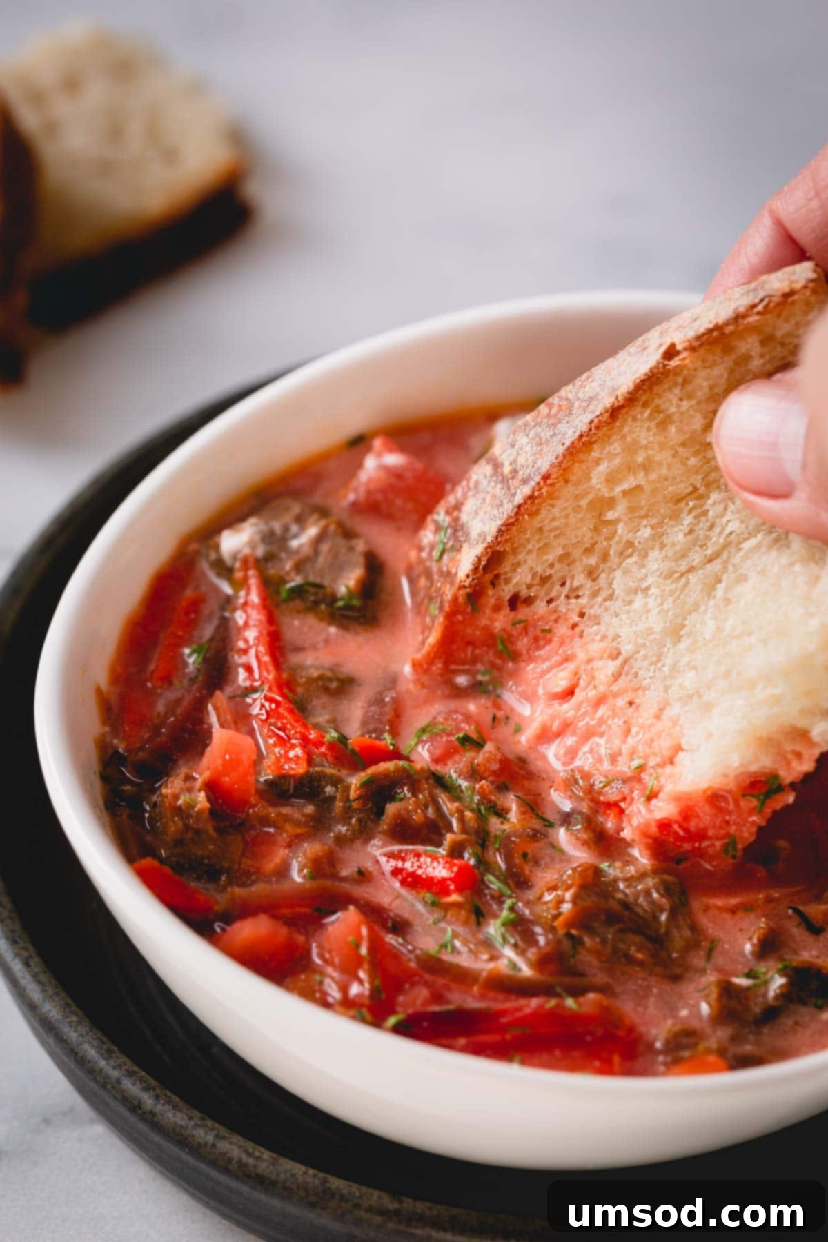 Bowl of soup with a slice of bread dipped in it.