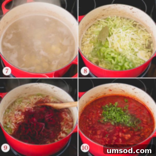 Step by step photo of making borscht soup.