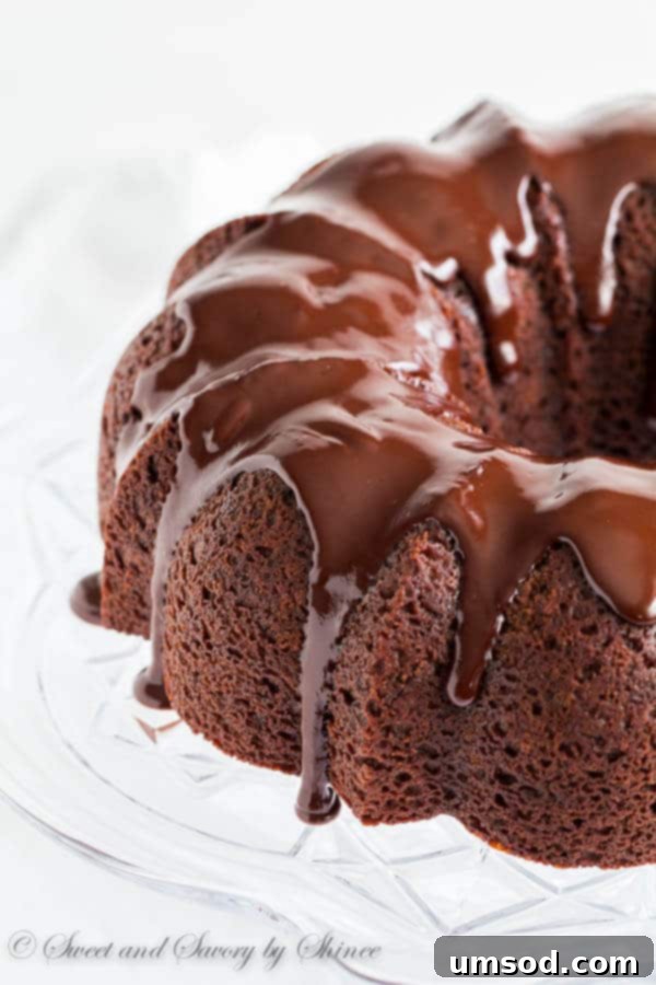 Stout-infused chocolate bundt cake with stout ganache, studded with dark chocolate for intense flavor.